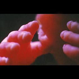 Эмбрион на 28 неделе
